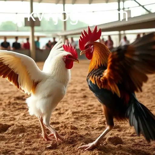 Explorando o Mundo do Sabong Online: Uma Análise Detalhada do Uso do KV7.bet